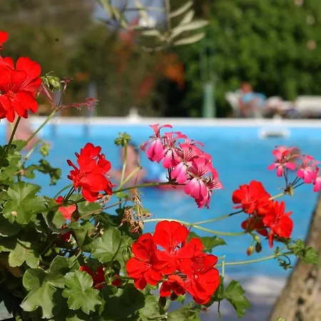 Saint Nicholas 3* Гоувия